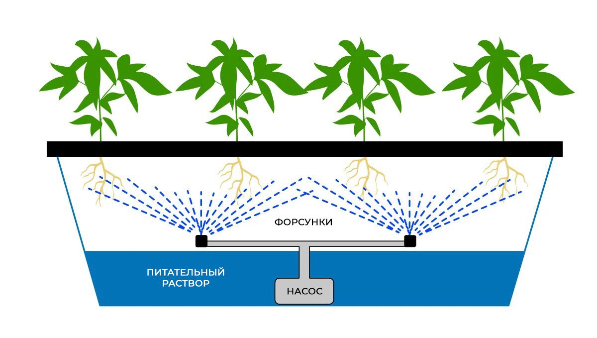 78466905aab08afa809034b9547909f2.jpg Growing Cannabis In An Aeroponic System: How does aeroponics work