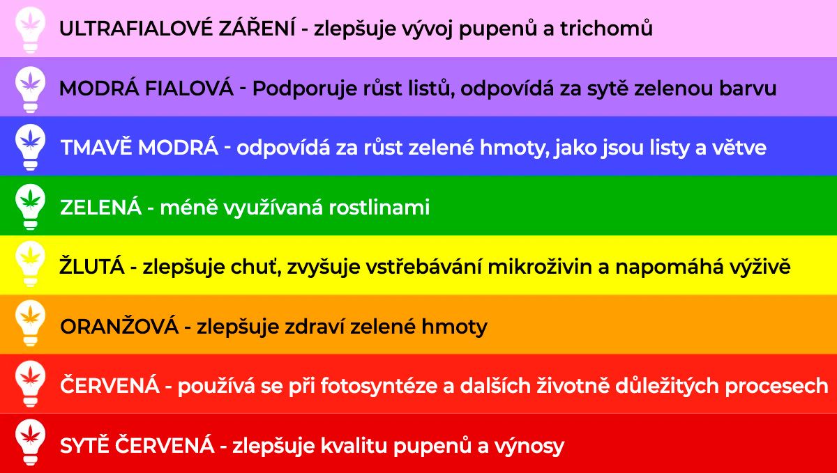 Nejlepší světelné spektrum pro auta: světelné spektrum a růst rostlin