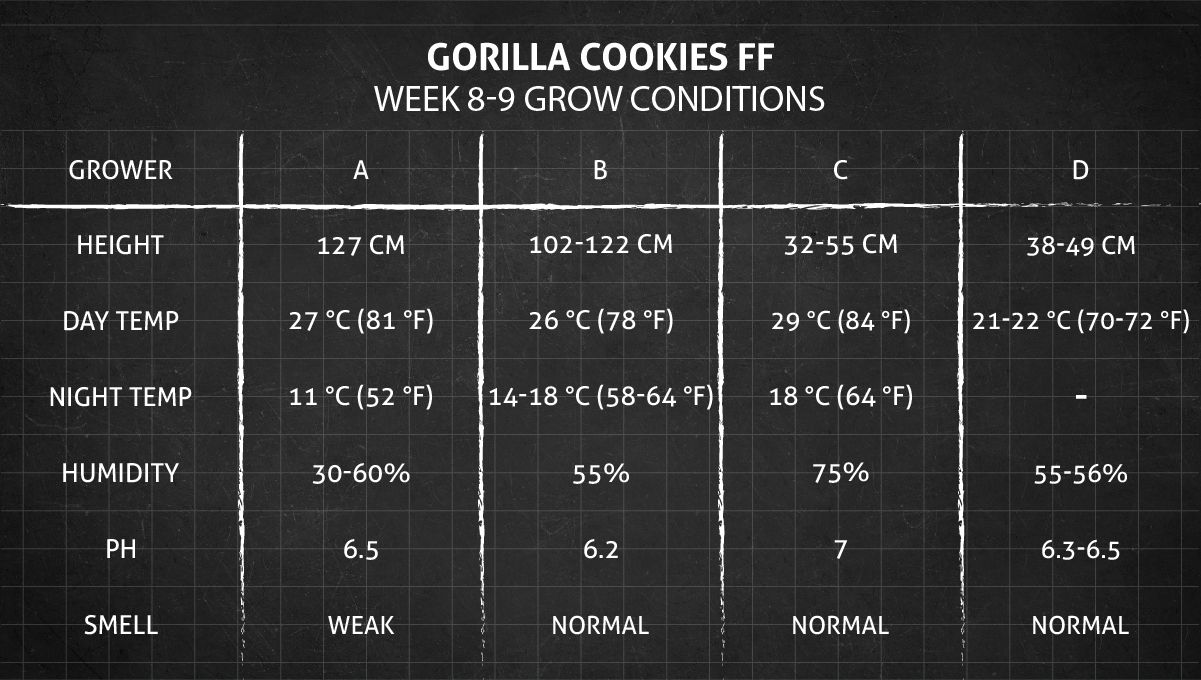 Gorilla Cookies FF cannabis strain: weeks 8-9 grow conditions Gorilla Cookies FF cannabis strain: weeks 8-9 grow conditions