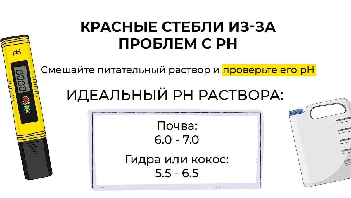 Red stems on cannabis plants: ph levels