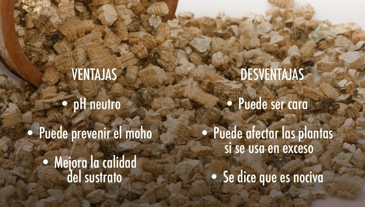 Ventajas y desventajas de añadir vermiculita al sustrato
