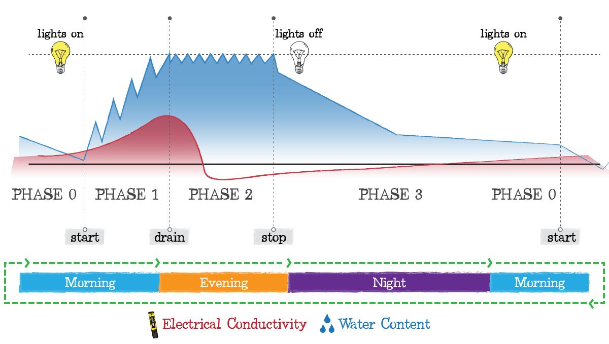 Crop steering cannabis: multi-phase irrigation plan Crop steering cannabis: multi-phase irrigation plan
