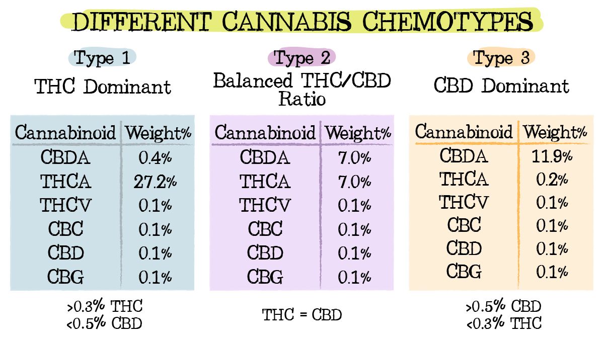 Cannabis chemtypes and chemovars: chemotypes 1, 2 and 3