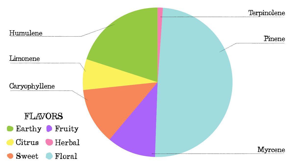 Bubba Kush Auto Cannabis Strain Week-by-Week Guide: Terpene profile Bubba Kush Auto Cannabis Strain Week-by-Week Guide: Terpene profile