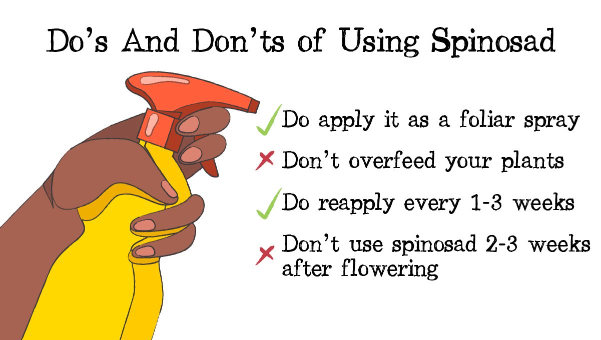 Is spinosad safe?: do's and don'ts of spinosad