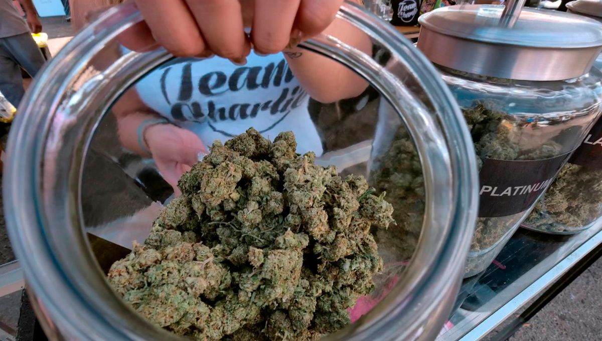 Die Einmachgläser sollten luftdicht sein, damit das Gras frisch bleibt.