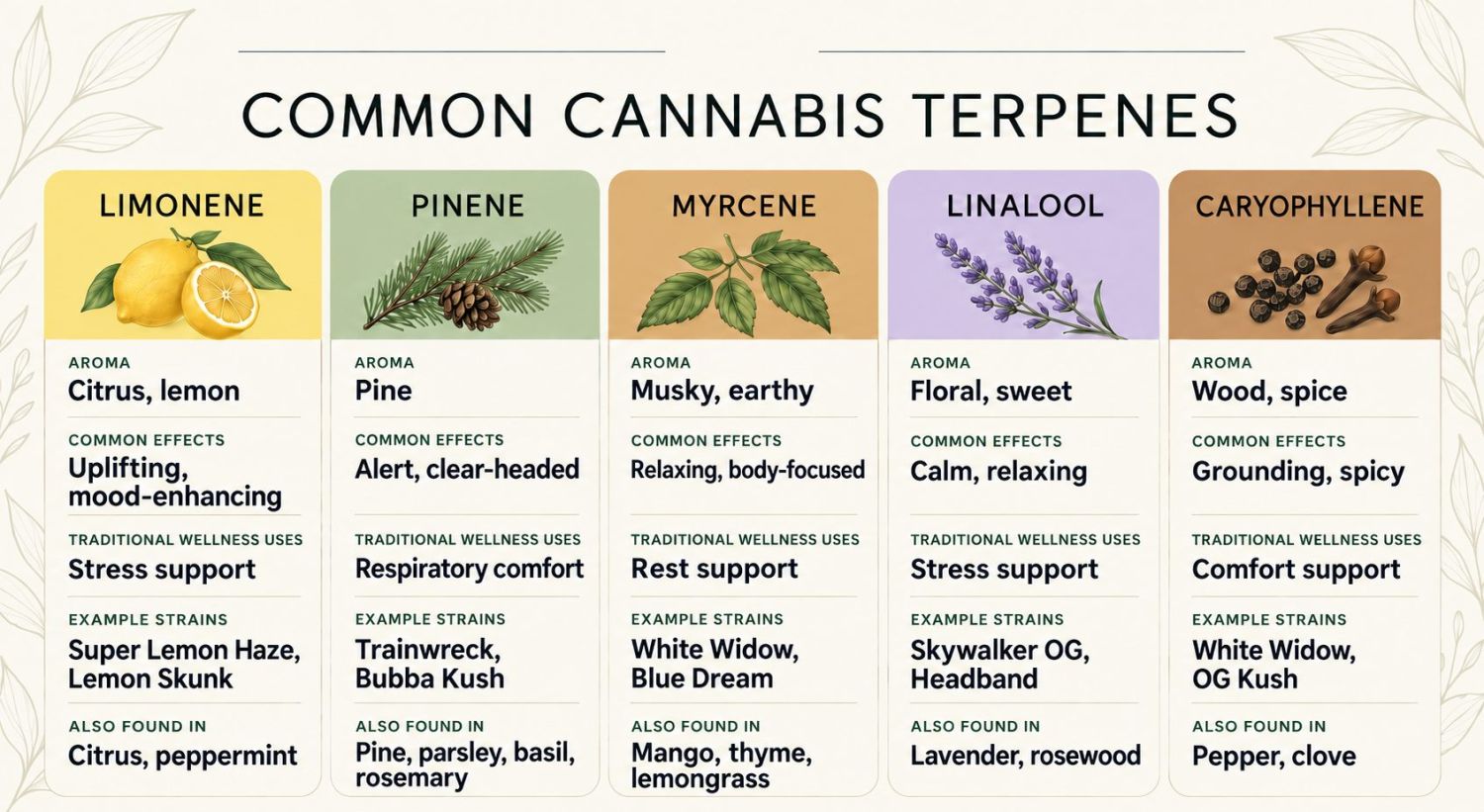 What Are Trichomes And Their Importance: Common cannabis terpenes and their effects