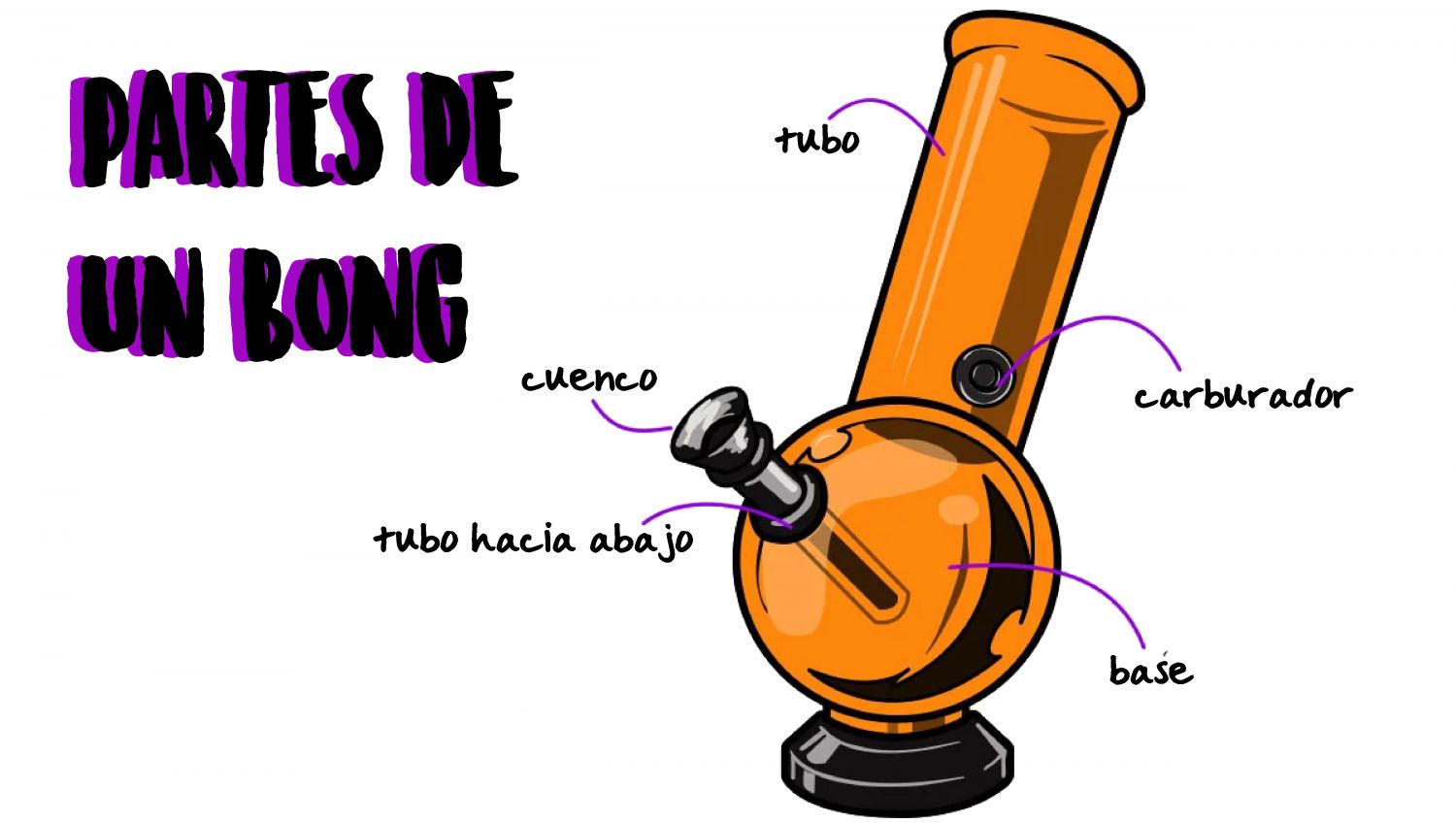 Partes esenciales de un bong Partes esenciales de un bong