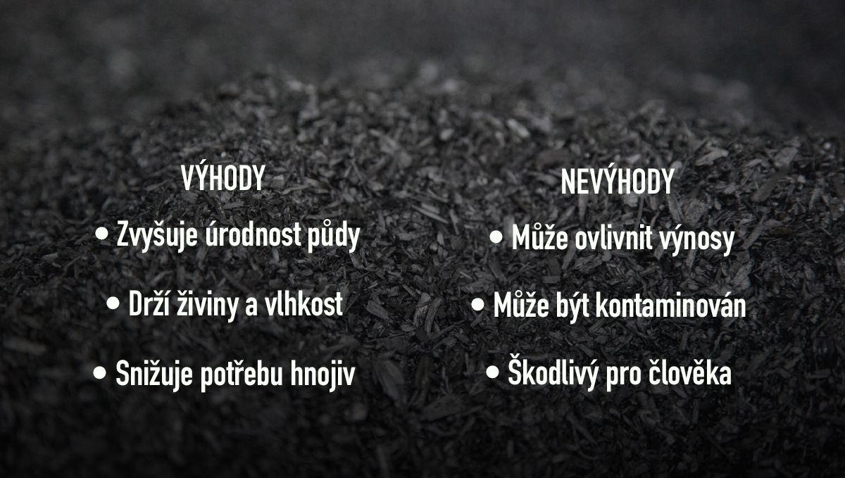 Výhody a nevýhody přidávání biouhlu do půdy Výhody a nevýhody přidávání biouhlu do půdy