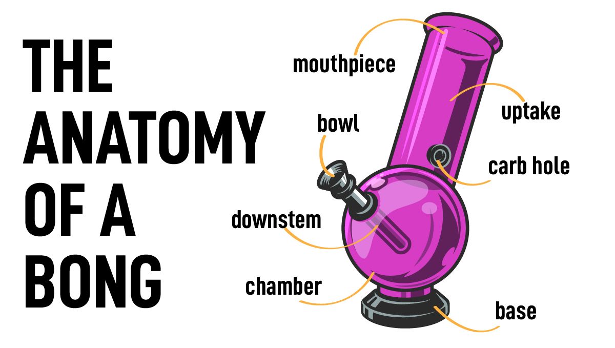 How to use a bong: the anatomy of a bong How to use a bong: the anatomy of a bong