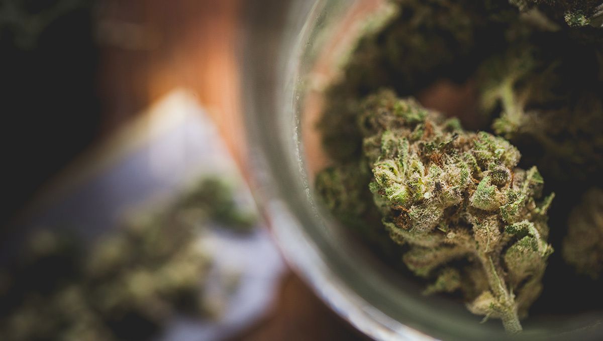 How to Cure Buds: why should I cure weed?