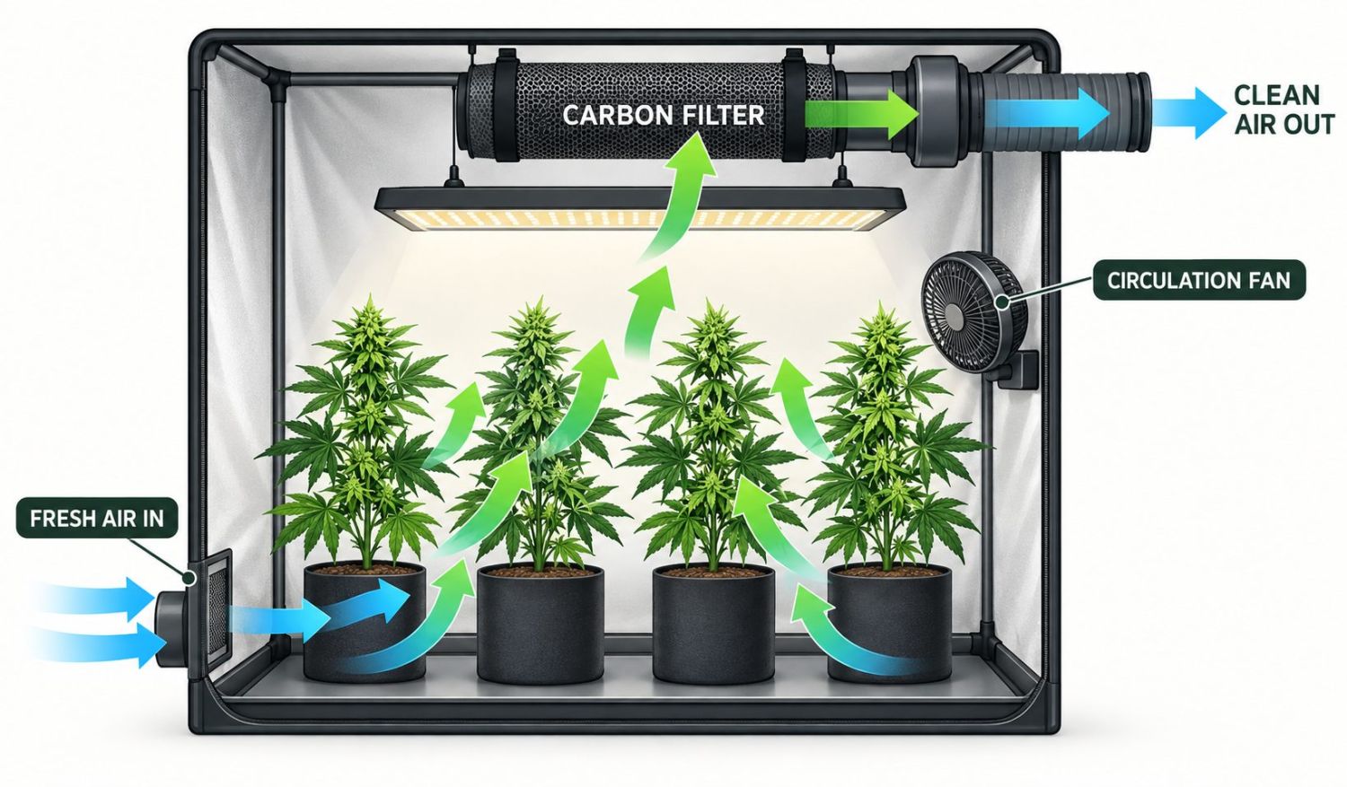 Jouw Gids Voor Cannabis Bloei: Koolstoffilter