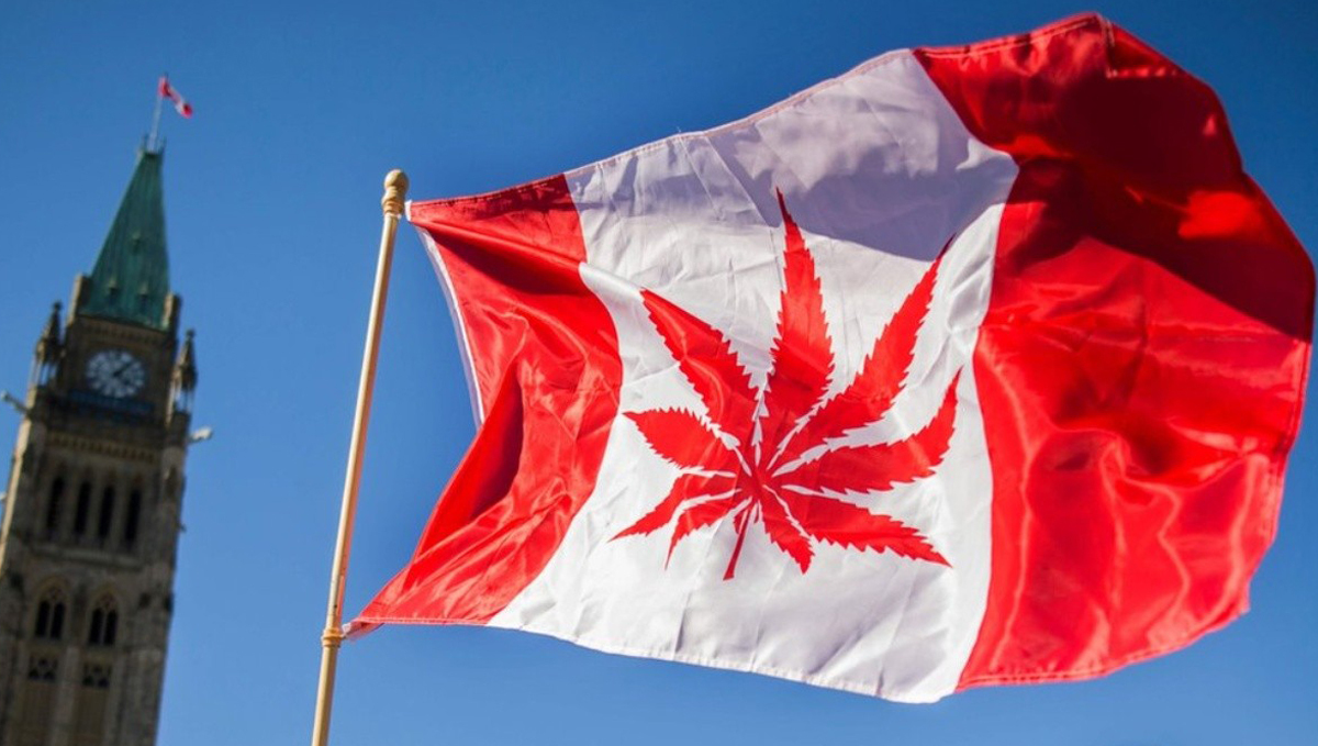Cannabis Legalization Does Not Increase Traffic Injuries, Study Finds: Canadian flag and Parliament in the backdrop