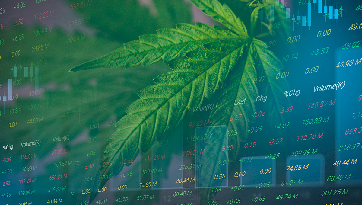Legal Cannabis Accounts For $43.5B in Canada’s GDP Since 2018: Marijuana leaf on the background of stock quotes Legal Cannabis Accounts For $43.5B in Canada’s GDP Since 2018: Marijuana leaf on the background of stock quotes