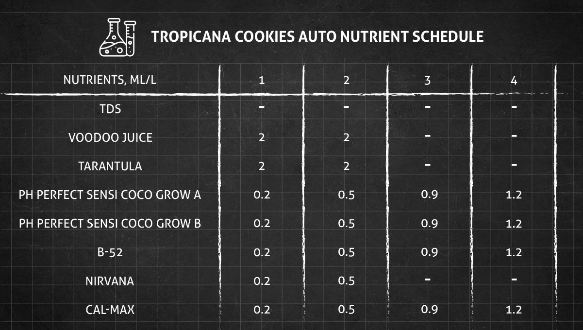 Tropicana Cookies Auto cannabis strain: veg nutrient schedule Tropicana Cookies Auto cannabis strain: veg nutrient schedule
