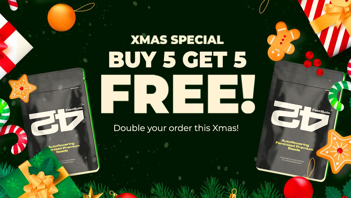 Die besten Geschenke bei Fast Buds!