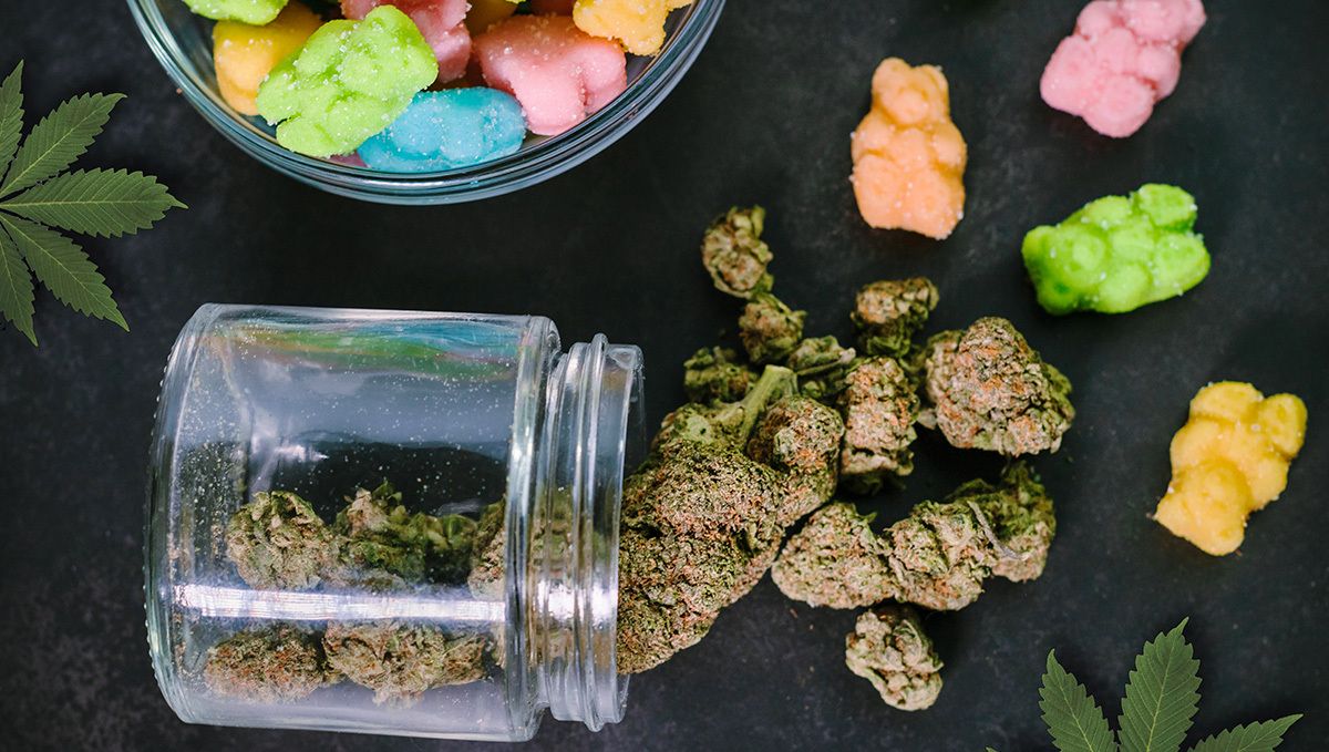 How to make weed gummy bears: why make thc gummies