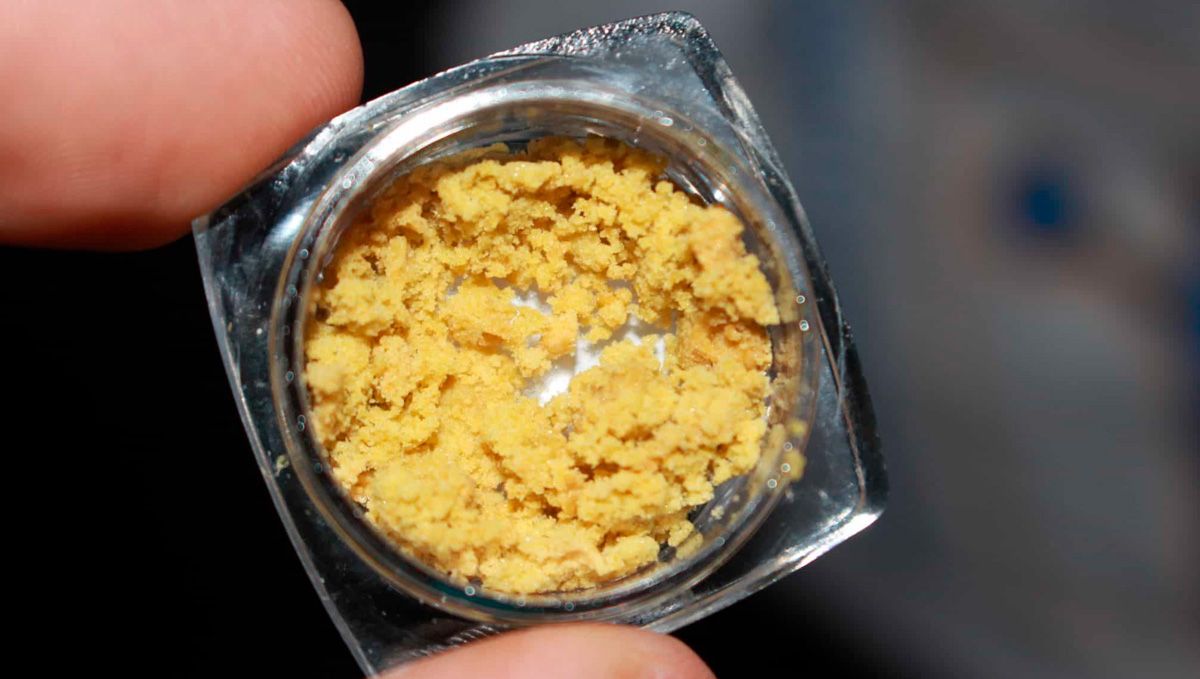 Cannabis Shatter: What Is It, How To Make And Smoke THC & CBD Hash Oil: A closeup of a person's fingers holding a small container with bright yellow wax