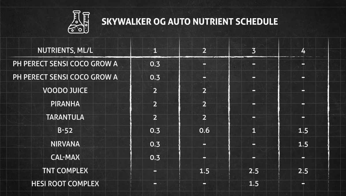 Skywalker OG Auto cannabis strain: feeding chart for the vegetative stage Skywalker OG Auto cannabis strain: feeding chart for the vegetative stage