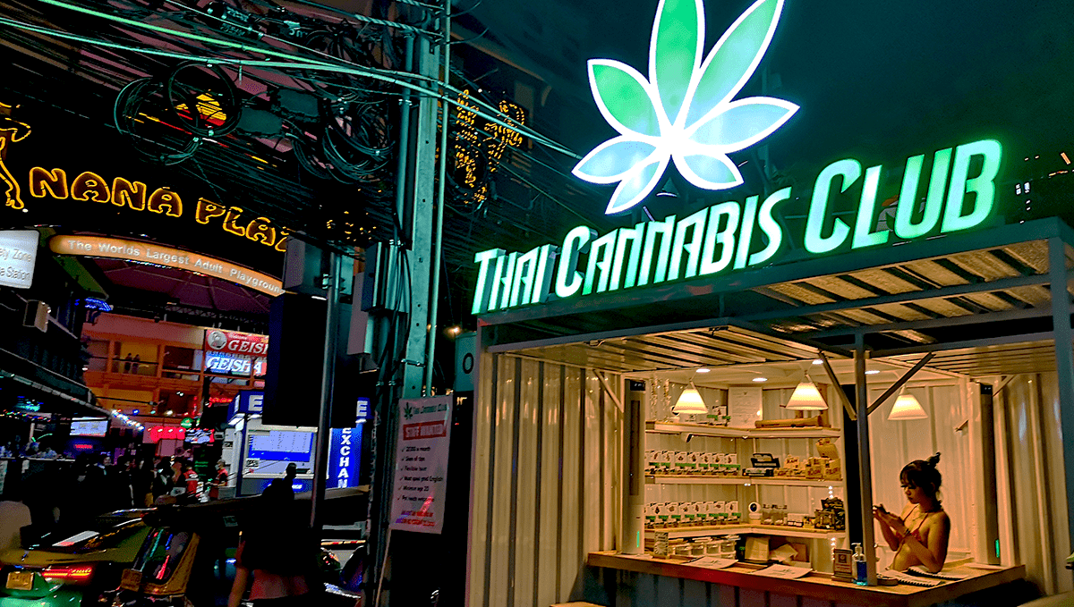 Weed in Thailand: Cannabis Legal Status Guide | Fast Buds