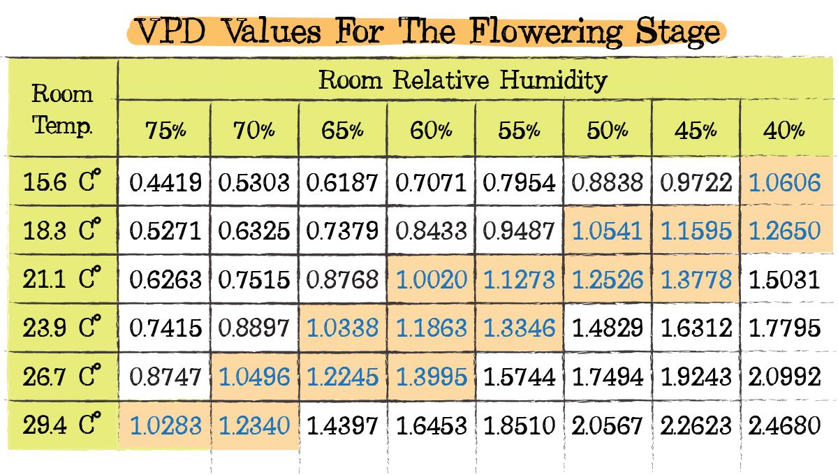 Cannabis transpiration: Ideal vpd during flower