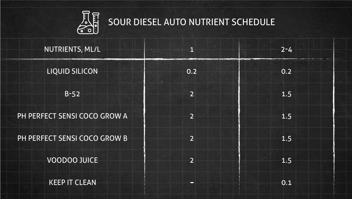 Sour Diesel Auto cannabis strain: feeding chart for the vegetative stage.