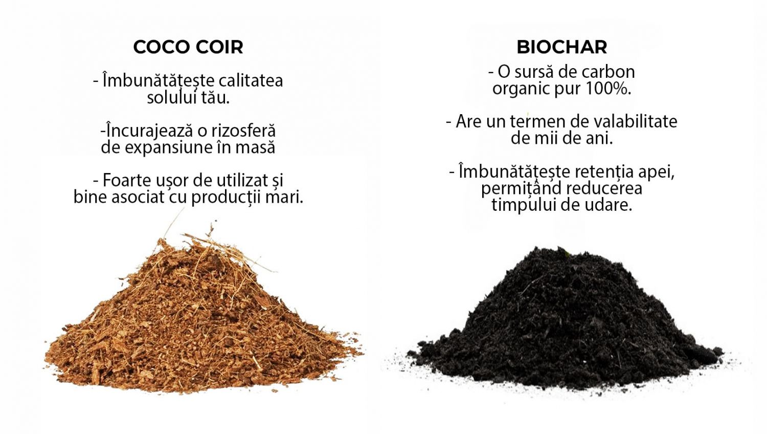 Biochar și Cocos