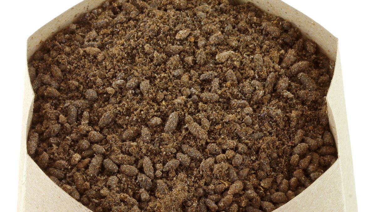 Best Soil For Cannabis - What is Good Soil For Growing Weed?: Bat Guano