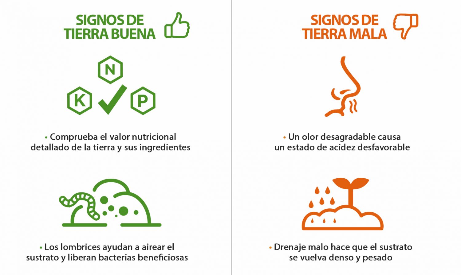 ¿Qué sustrato es mejor para el cannabis autofloreciente? Señales de buena y mala tierra