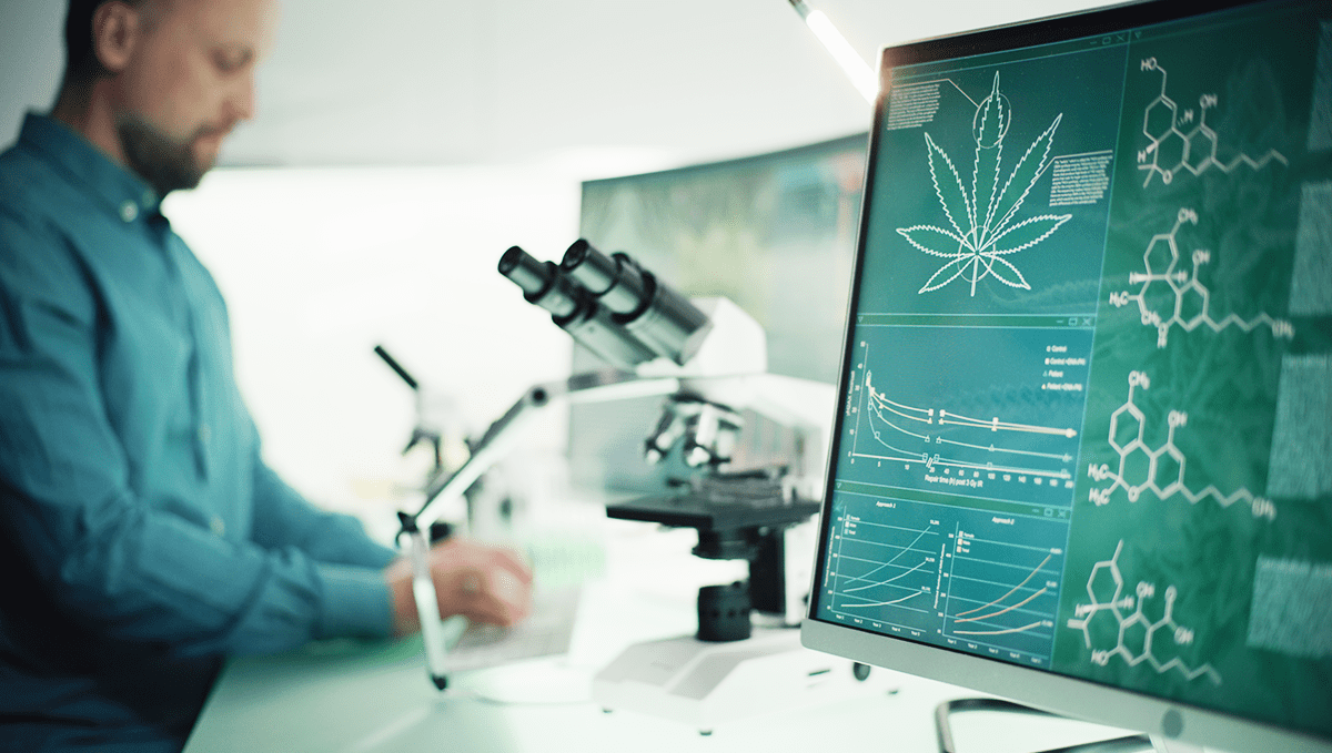 Weed in washington: medicinal cannabis Weed in washington: medicinal cannabis