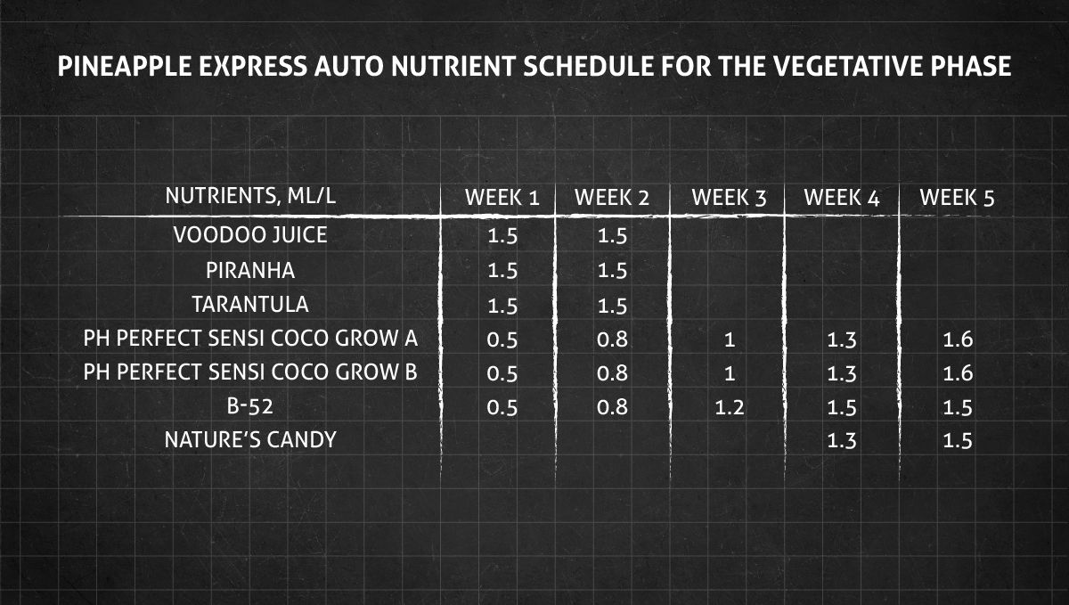 Pineapple Express Auto cannabis strain: veg nutrient schedule Pineapple Express Auto cannabis strain: veg nutrient schedule