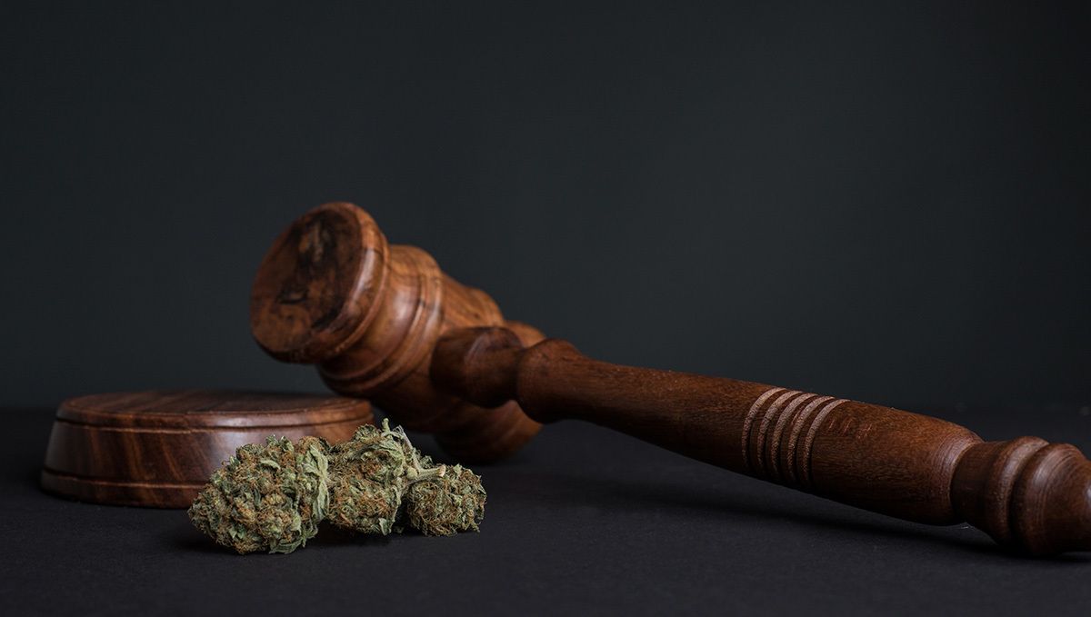 Weed in portugal: cannabis laws in portugal