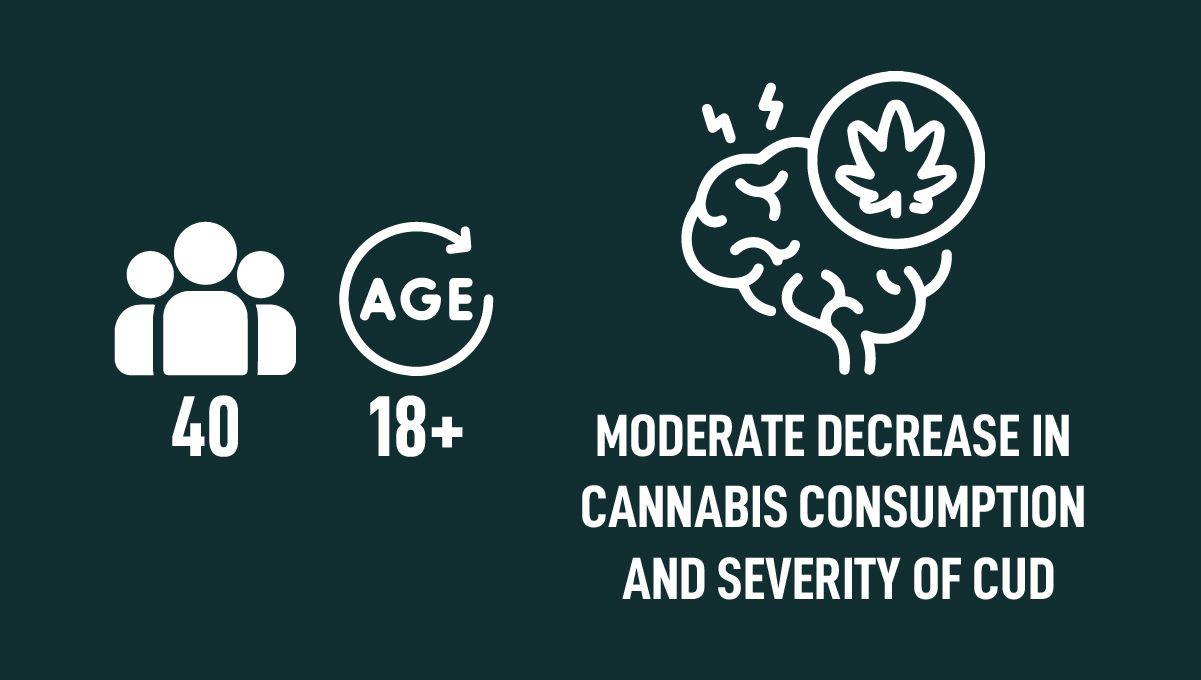 Virtual Reality Highs: The Interplay Between Cannabis Use and VR Experiences Virtual Reality Highs: The Interplay Between Cannabis Use and VR Experiences