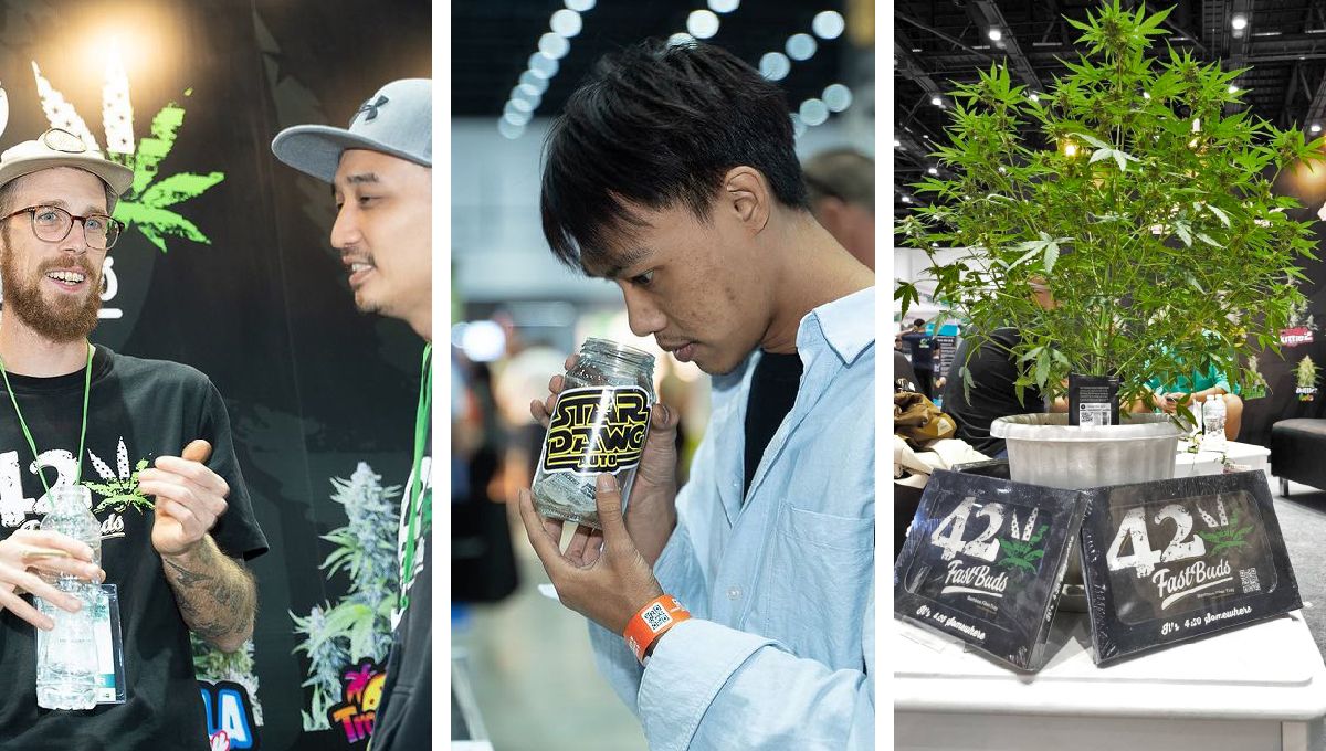 Asia International Hemp Expo: Ein einzigartiges Erlebnis