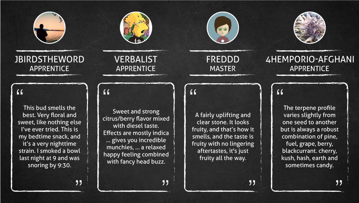 Auto Blackberry Kush cannabis strain: smokers’ quotes