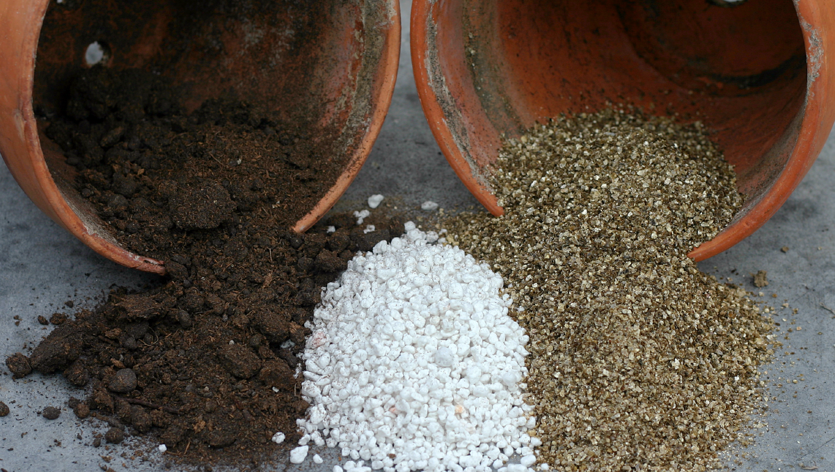 How to grow weed at home: soil