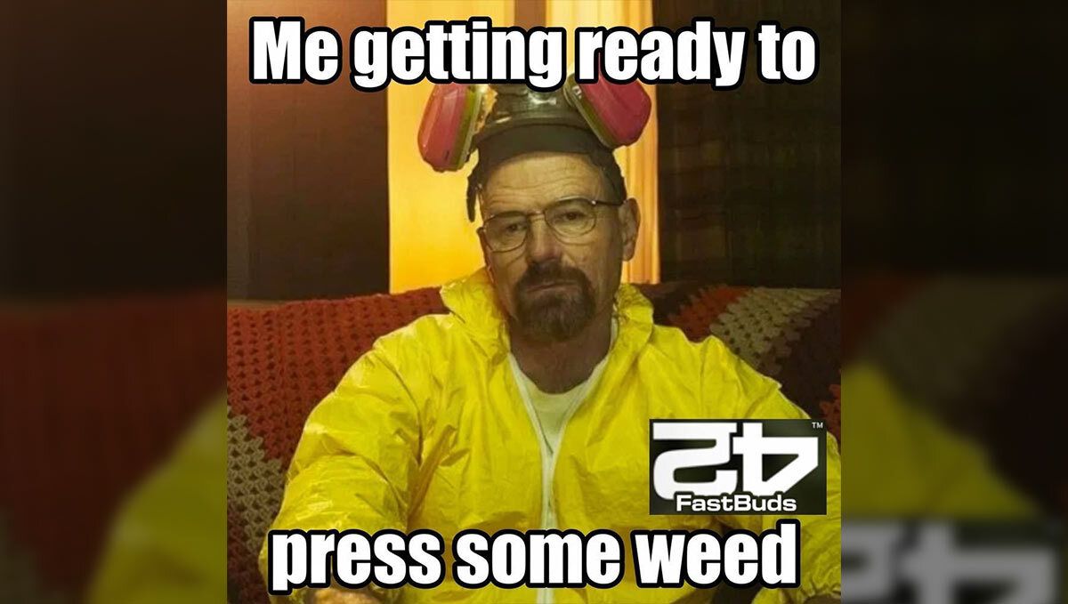 291.jpg Fast Buds Meme Breaking Bad