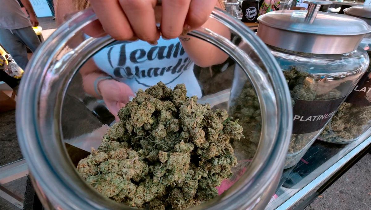 Achte darauf, dass du für die Fermentierung luftdichte Gläser verwendest, um den Abbau von Terpenen zu verhindern.