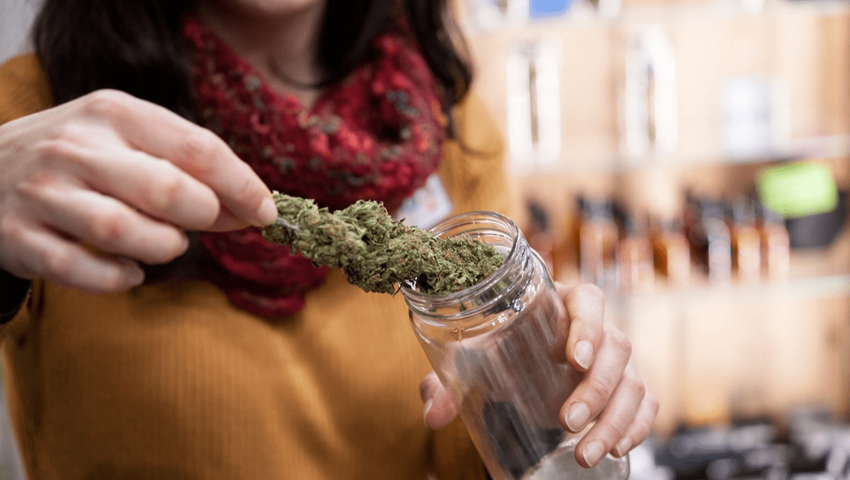 Weed in lebanon: politics Weed in lebanon: politics