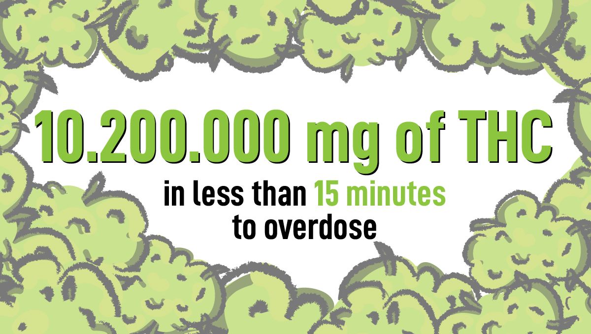 Can marijuana kill you?: can you overdose from cannabis? Can marijuana kill you?: can you overdose from cannabis?