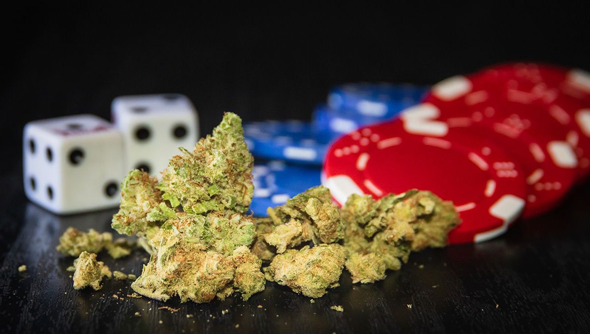 Weed in nevada: history and politics Weed in nevada: history and politics