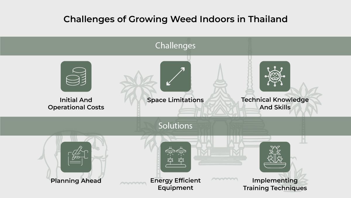 Challenges of growing weed Indoors in Thailand. Challenges of growing weed Indoors in Thailand.