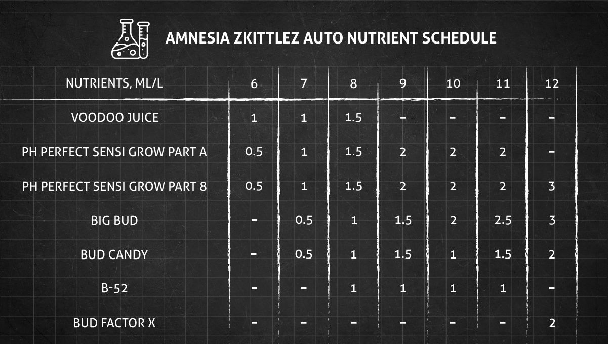 Amnesia Z Auto cannabis strain: mid flower (bulk phase) | feeding chart in flower Amnesia Z Auto cannabis strain: mid flower (bulk phase) | feeding chart in flower