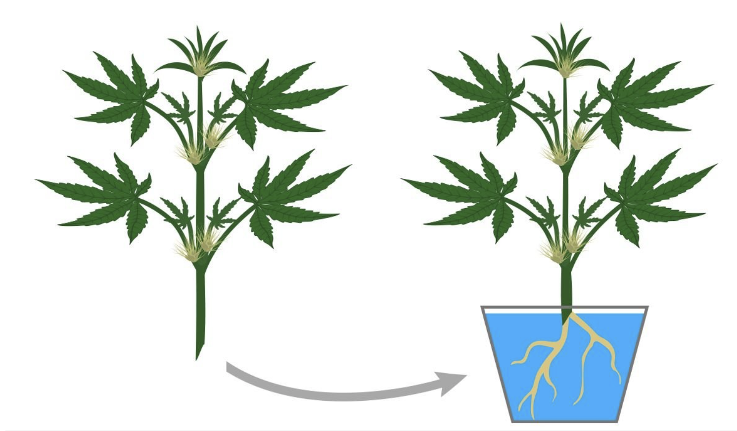 Screenshot 2021-06-18 at 17.38.38.png