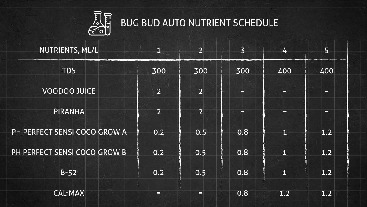 Big Bud Auto Cannabis Strain: feeding schedule for the vegetative stage