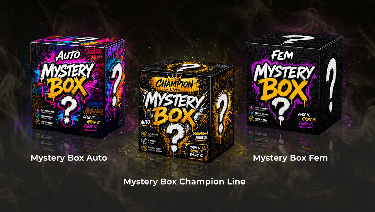 mystery boxes