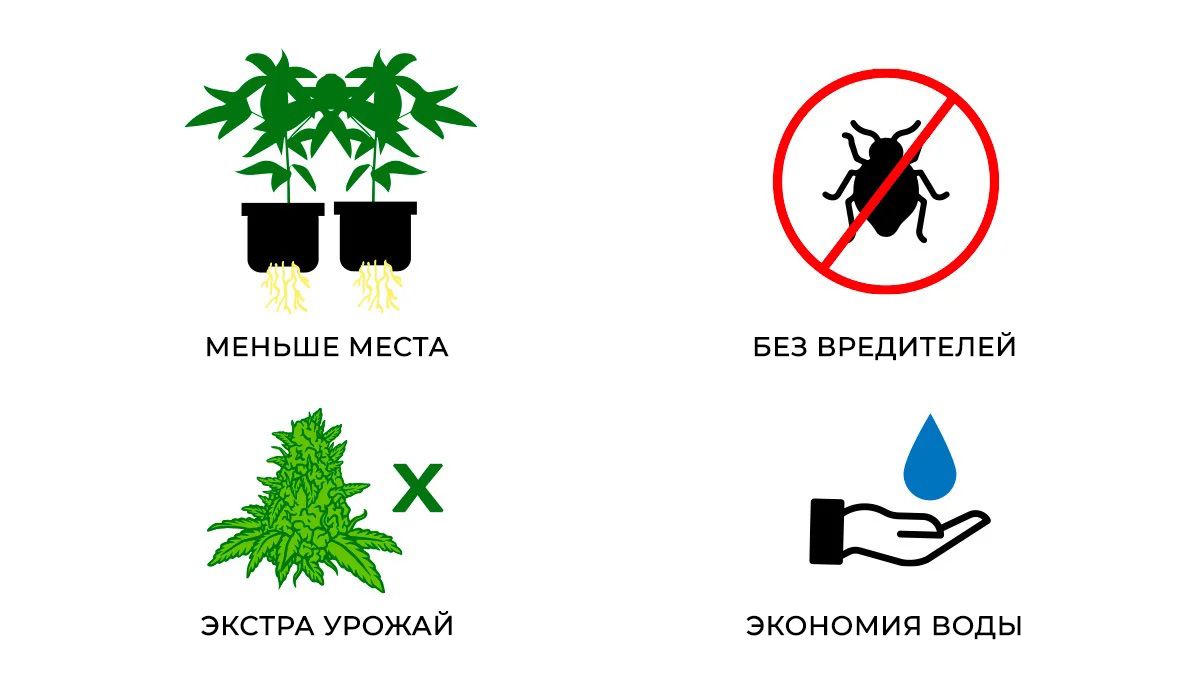 3ff836588527c26a7117fb5df04fc63d.jpg Growing Cannabis In An Aeroponic System: Advantages of Aeroponic grow