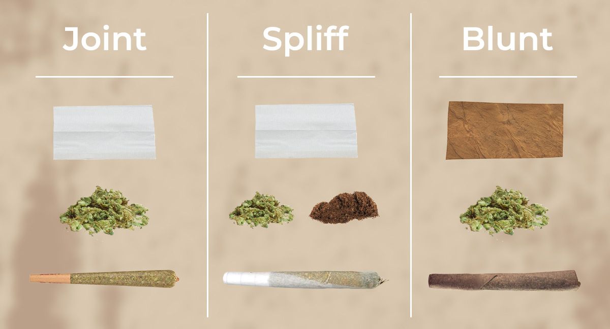 Infographic showing the difference between joints, spliffs, and blunts