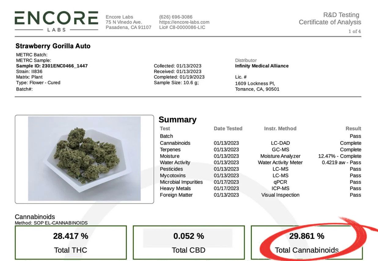 Strawberry Gorilla Auto Cannabissorte: Laborzertifikat Strawberry Gorilla Auto Cannabissorte: Laborzertifikat