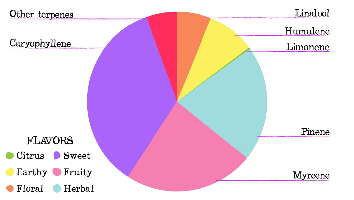 Blueberry auto week-by-week guide: terpene profile Blueberry auto week-by-week guide: terpene profile